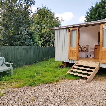 The Llama Hut Kirklevington Esterno foto